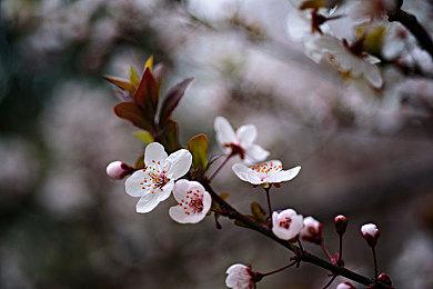 《漫威复仇者联盟》仍计划在年内上线蜘蛛侠角色
